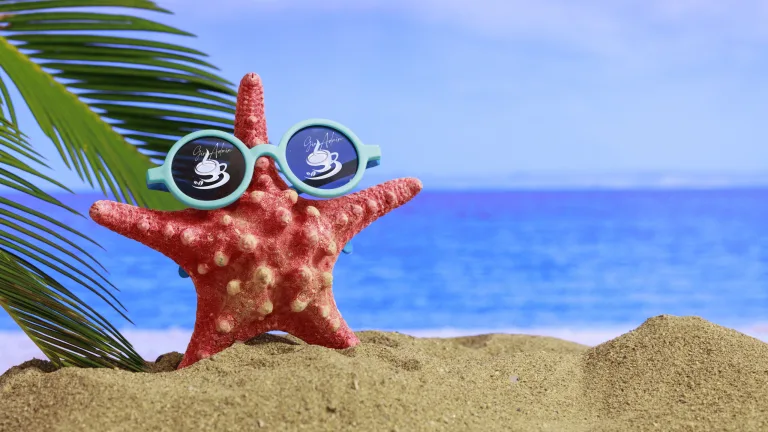 Create seasonal content that wows!